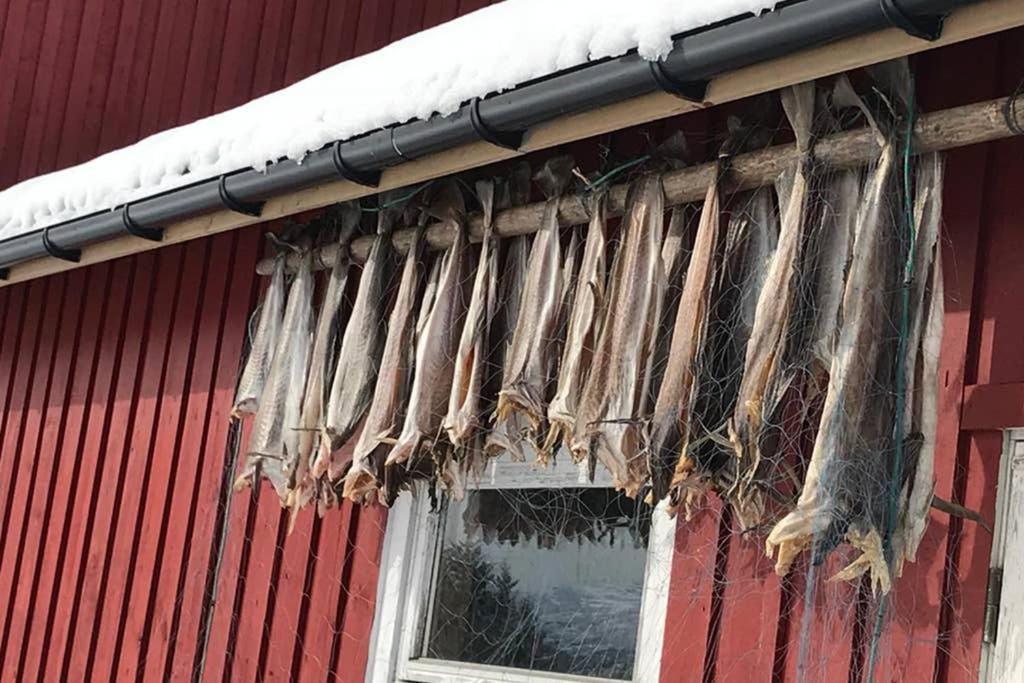 Nordlandshus Ved Lofotr Villa Bostad ภายนอก รูปภาพ